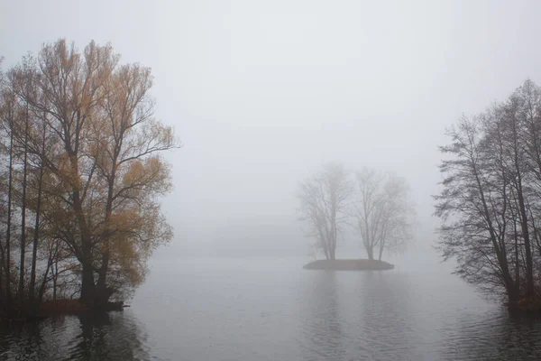 Осенний Пейзаж Деревьями Рекой Тумане — стоковое фото