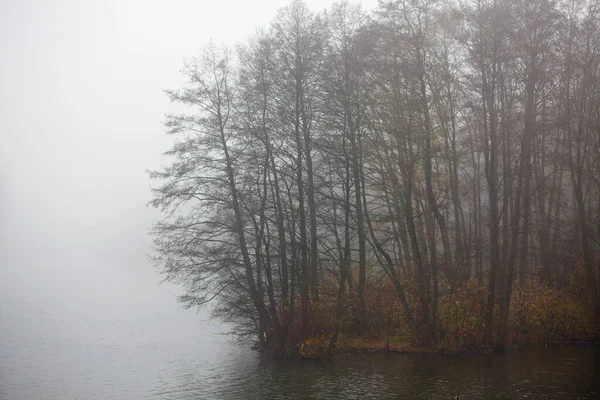 Осенний Пейзаж Деревьями Рекой Тумане — стоковое фото