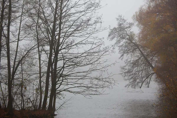 Autumn Landscape Trees River Fog — Stock Photo, Image