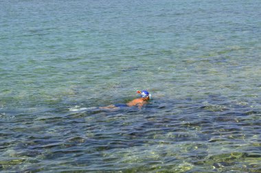 Bir adam snorking Kıbrıs Paphos Harbour