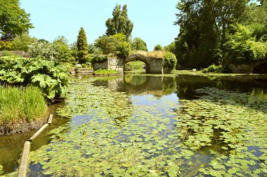 Warwick çalışan sakin River Avon
