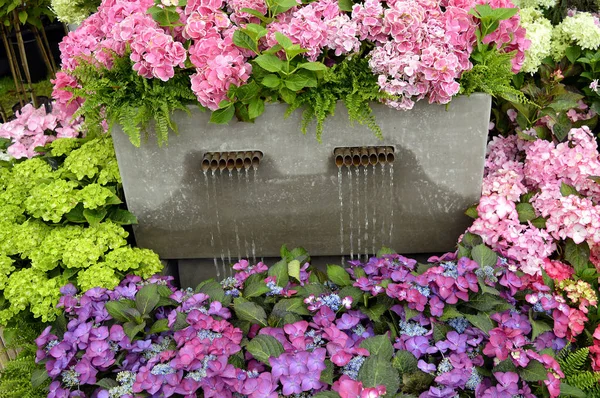 Wasserspiel Umgeben Von Hortensienblüten — Stockfoto
