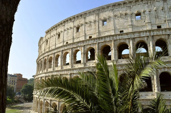 Roma Italia Septiembre 2016 Histórico Anfiteatro Del Coliseo Romano Roma — Foto de Stock