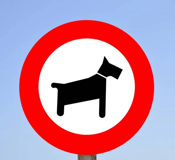 Nie Pies Chodzić Wolno Zamówienie Zaloguj Portu Corralejo Fuerteventura — Zdjęcie stockowe