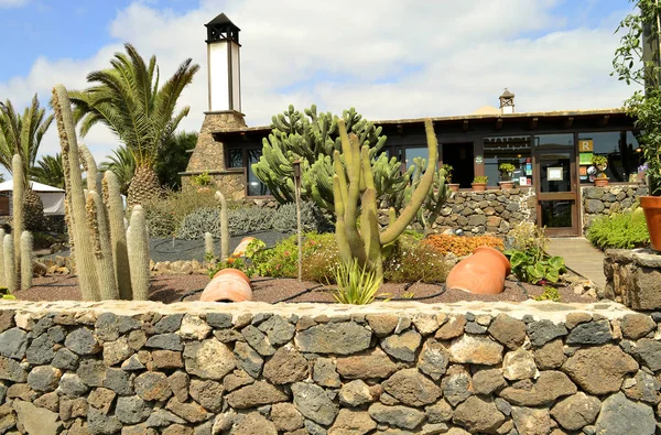 Jardin Cactus Oliva Fuerteventura Une Des Îles Canaries — Photo