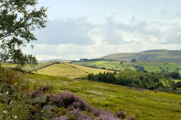 Вид Пагорби Над Велика Peak District Національний Парк Ліцензійні Стокові Зображення