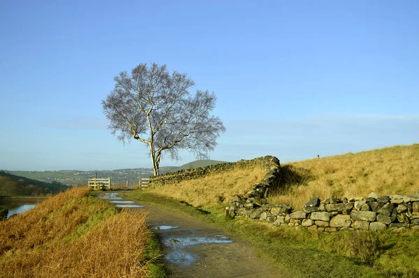 Dovestone Reservoir Lies Valleys Greenfield Chew Brooks Converge Together Village — Stock Photo, Image