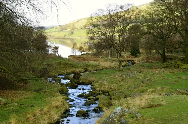 Chew Ρυάκι Που Οδηγεί Δεξαμενή Dovestone Στο Peak District National — Φωτογραφία Αρχείου