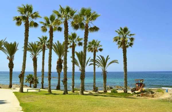 Paphos beach in Cyprus — Stock Photo, Image