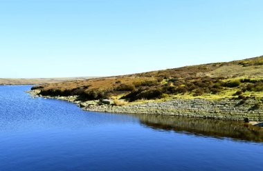 Rezervuar çiğnemek