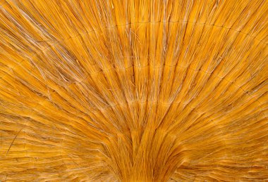 Saman şemsiyesinin altından bir manzara