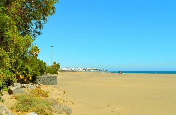 Playa Pena Grande Stranden Lanzarote Spansk Kanarieöarna — Stockfoto