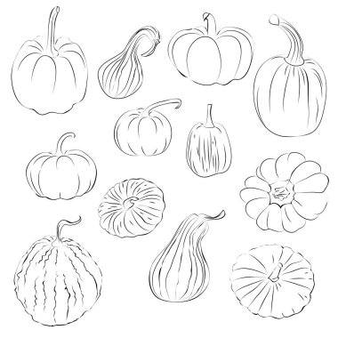 Çizgi çalışma deseni, vegan gıda paketi.