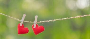 Çift kırmızı kalp şekli dekorasyon kopya alanı için yeşil doğa arka plan üzerinde metin satırıyla asılı. Düğün romantik ve Happy Valentine s gün tatil kavramı seviyorum