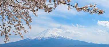 Şapkalı, kar mavi gökyüzü ve güzel kiraz çiçeği ya da pembe Sakura çiçek ağaç bahar sezonu Gölü kawaguchiko, Yamanashi, Japan, Fuji Dağı. işareti ve popüler turistik mekanlar için