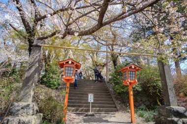 güzel pembe Cherry Blossom Chureito kırmızı Pagoda tapınak alanı. Bahar mevsimi, Fujiyoshida. işareti ve popüler turistik Japonya için; Yamanashi, Japan, 9 Nisan 2018