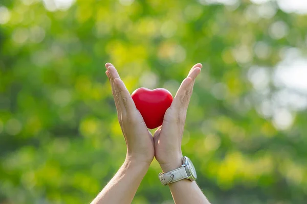 Vrouw Hand Met Rood Hart Vorm Groene Natuurlijke Achtergrond Tuin — Stockfoto