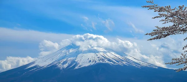Mount Fuji Met Sneeuw Bedekte Blauwe Hemel Prachtige Cherry Blossom — Stockfoto