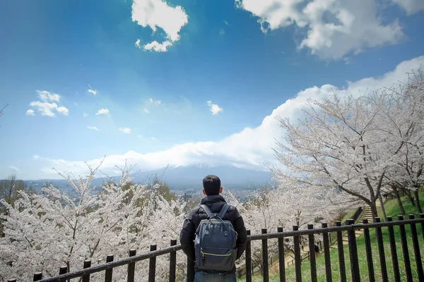 Jovem Feliz Viajando Com Bela Rosa Cherry Blossom Monte Fuji — Fotografia de Stock