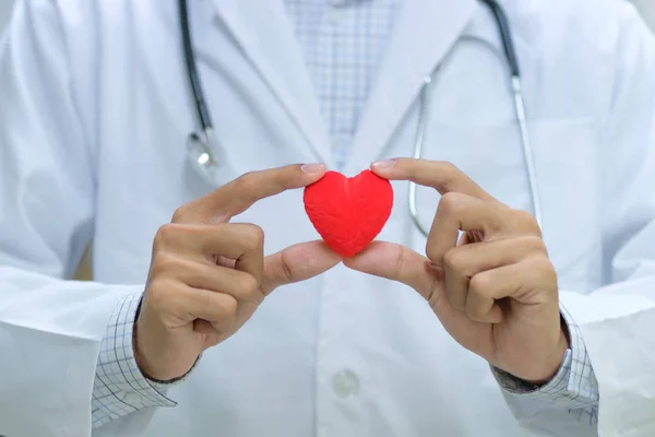 Male Doctor Stethoscope Hand Holding Red Heart Shape Hospital Healthcare — Stock Photo, Image