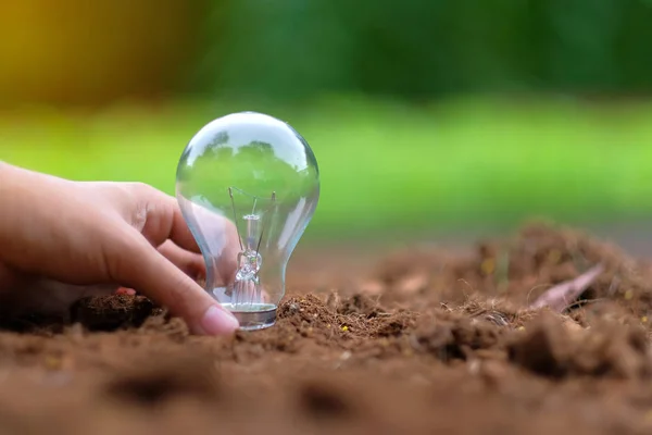 hand holding light bulb on soil with green background. Ecology and saving energy concepts