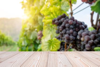 Ahşap masa taze üzüm, sonbaharda hasat arka plan, üzüm bağları ile sahte ürün görüntüleme veya montaj için boş