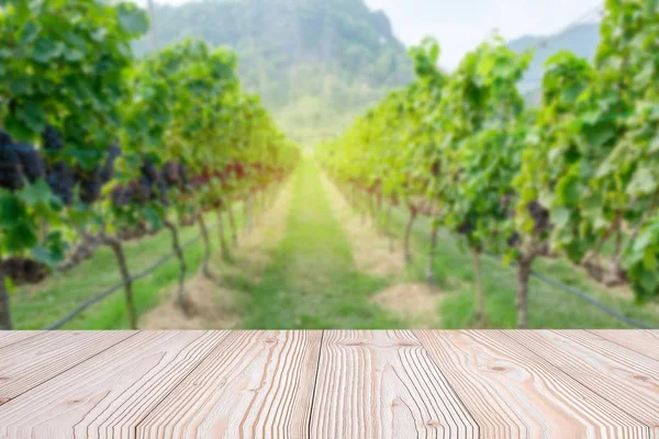 Ahşap masa taze üzüm, sonbaharda hasat arka plan, üzüm bağları ile sahte ürün görüntüleme veya montaj için boş