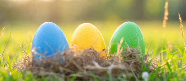 Boldog Húsvét színes tojások aranyos nyuszi reggel, vicces — Stock Fotó