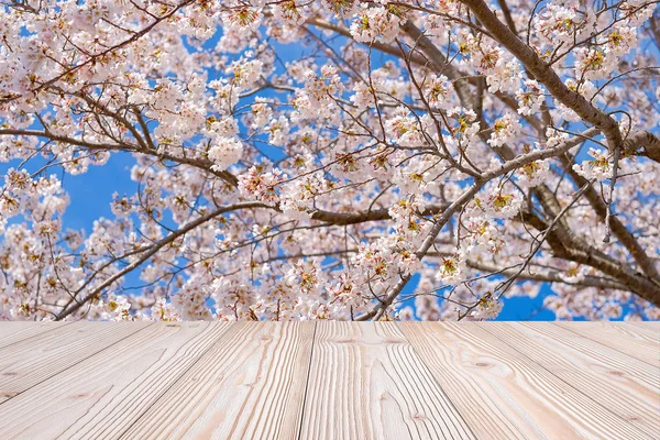 Empty wood table with beautiful pink cherry blossom flower backg