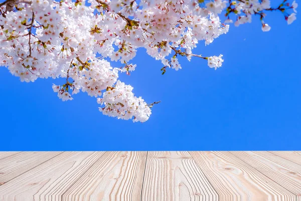 Empty wood table with beautiful pink cherry blossom flower backg