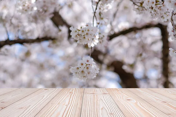 Empty wood table with beautiful pink cherry blossom flower backg