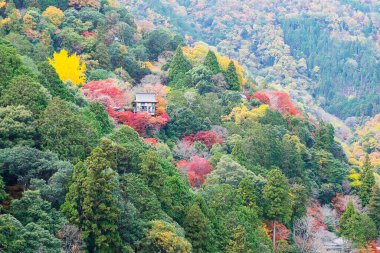 Daihikaku senkoji tapınağı Arashiyama 'da renkli yaprak dağlarıyla, manzara simgesi ve Japonya' nın Kyoto kentindeki turistlerin ilgi odağı