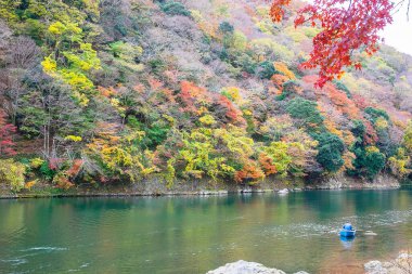 Renkli yapraklar ve Arashiyama 'daki Katsura nehri, manzara simgesi ve Japonya' nın Kyoto kentindeki turistler için popüler. Sonbahar sezonu, tatil, tatil ve gezi konsepti