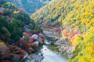 Renkli yapraklar ve Arashiyama 'daki Katsura nehri, manzara simgesi ve Japonya' nın Kyoto kentindeki turistler için popüler. Sonbahar sezonu, tatil, tatil ve gezi konsepti