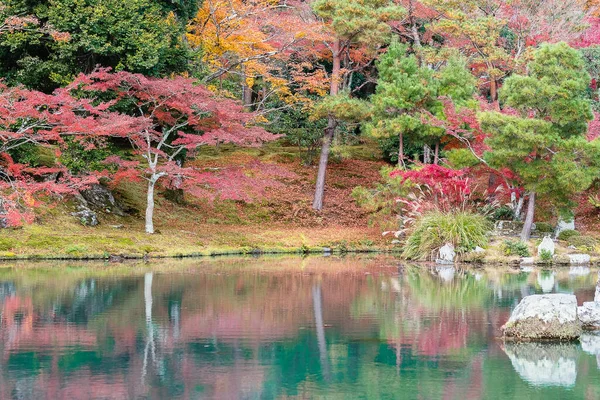 colorful leaves garden and pond inside Tenryuji temple, landmark and popular for tourists attractions in Arashiyama, Kyoto, Japan. Fall Autumn season, Vacation,holiday and Sightseeing concept