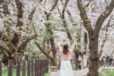 Kajo Park Yamagata Kalesi 'ni gezen turist, ilkbaharda Sakura Kiraz Çiçeği ile birlikte harabeleri gezen mutlu gezgin Yamagata, Tohoku, Japonya' ya seyahat ediyor. Meşhur Seyahat ve Tatil Tarihi 