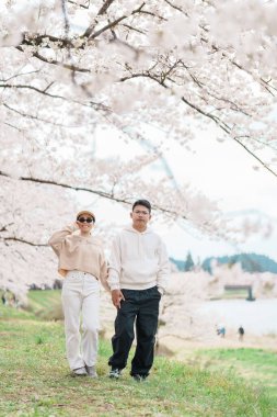 Baharda Sakura Kiraz Çiçeği 'ni gezen bir çift. Mutlu gezginler Japonya 'nın Akita ilinin Semboku ilçesindeki Kakunodate kasabasındaki Hinokinai Nehri nehir kıyısı yakınlarında seyahat ederler. Tarihi Eserler ve Tatil 