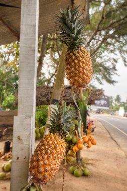 Ananas. Tropikal fruis.