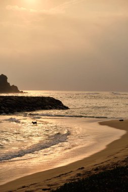 Midigama plaj. Sri-Lanka. Güzel gün batımı. Şaşırtıcı görünümü.