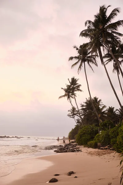 Midigama beach. Srí-Lanka. Gyönyörű naplemente. Csodálatos kilátás. — Stock Fotó