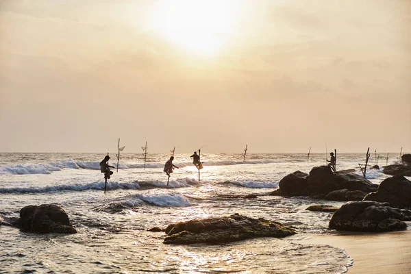 Pescadores do Sri Lanka estão pescando ao pôr do sol . — Fotografia de Stock