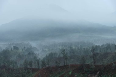 Mountain view volkan Ijen'de tepesinden.