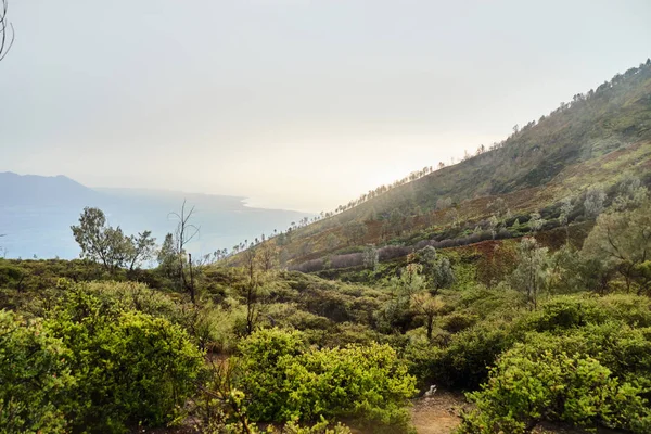 Dawn op de top van de berg. — Stockfoto