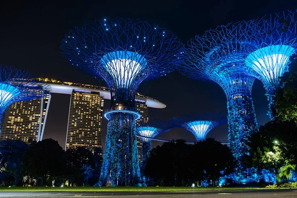 Singapore, Singapore: 19 marzo 2019: Giardini della baia, Singapore — Foto Stock