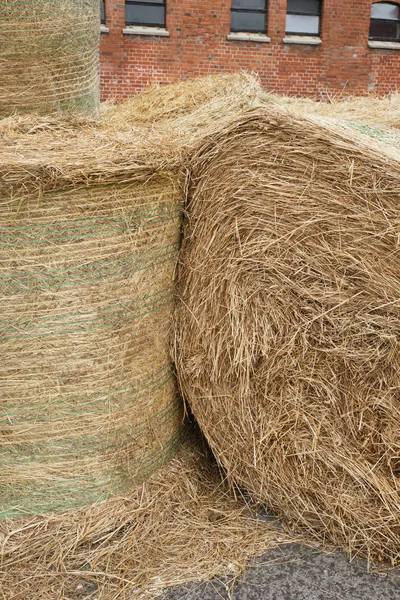 Haystacks na fazenda de cavalos de perto — Fotografia de Stock