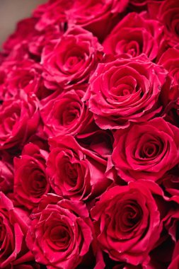 Çiçek buketi. Kırmızı gül