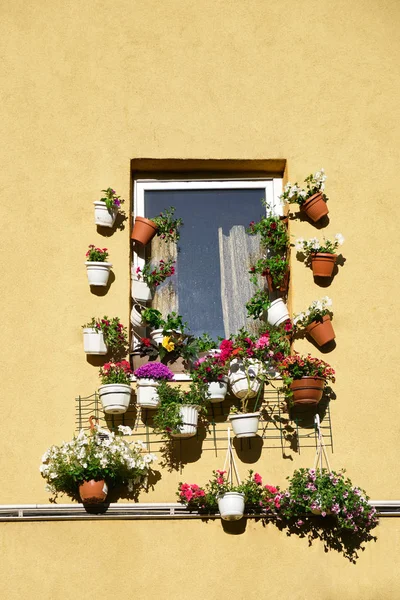Facade of house with flowers in pots on the window — Stock Photo, Image