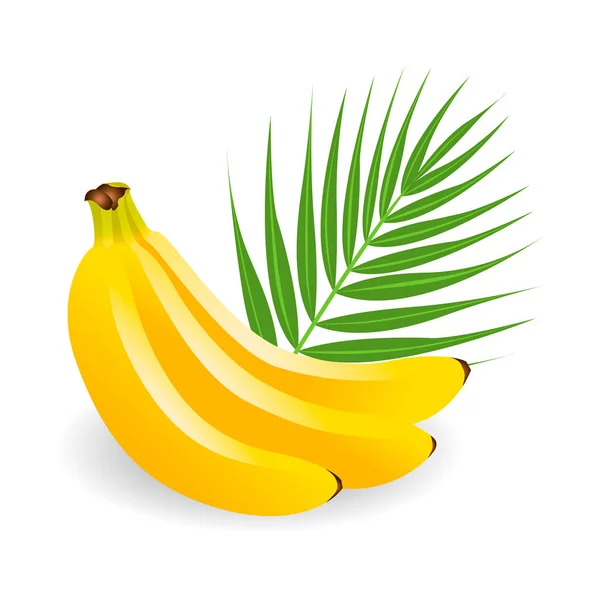 Frutos Tropicais Amarelos Saudáveis Bananas Maduras Suculentas Com Folhas Verdes — Vetor de Stock