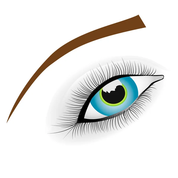 Bel Oeil Bleu Féminin Logo Des Yeux Isolé Sur Fond — Image vectorielle