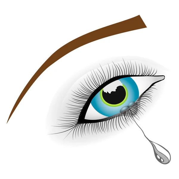 Прекрасный Женский Голубой Глаз Логотип Глаза Изолированный Белом Фоне Векторная — стоковый вектор